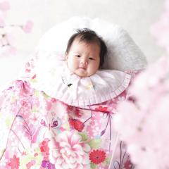 桜にかこまれた赤ちゃん